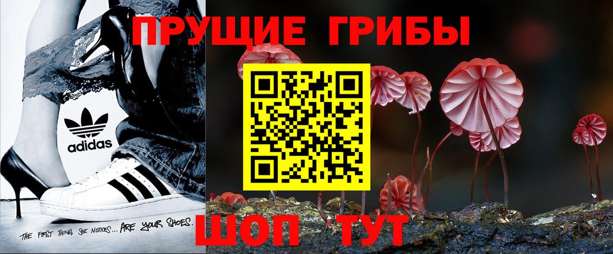 Жигулёвск  Псилоцибиновые грибы GOLDEN TEACHER  Галлюциногенные грибы ЛСД  Вход с VPN 